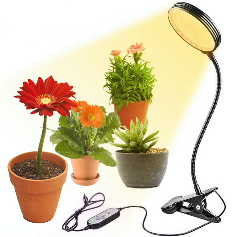 20 watt on sale grow light